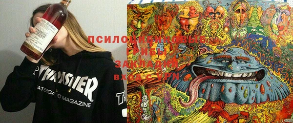 ALPHA PVP Алзамай